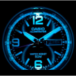 MTP-E202D-1A, Casio Standard Analogue