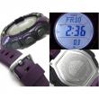 PRG-270-6A, Casio Pro Trek