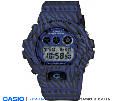 DW-6900ZB-2ER, Casio G-Shock