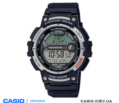  Casio Collection WS-1200H-1AVEF